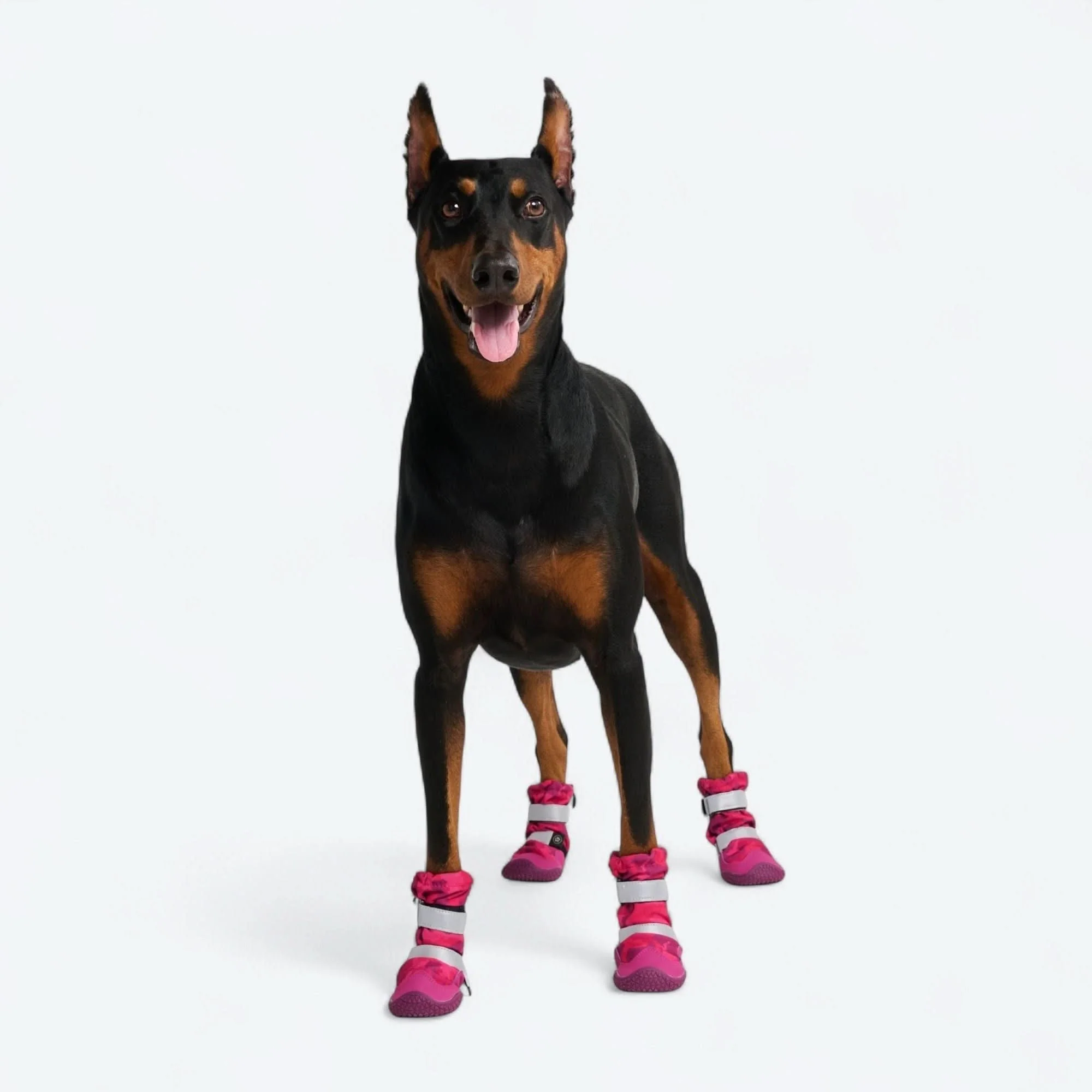 Product image 63